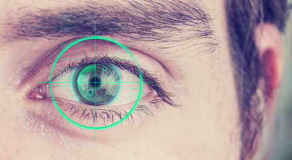 Example of iris recognition